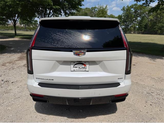 2024 Cadillac Escalade (CC-2078950) for sale in Shelby Township, Michigan
