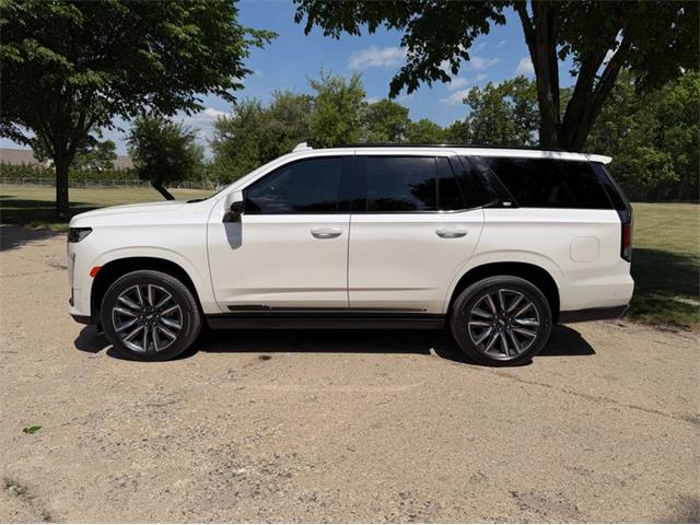 2024 Cadillac Escalade (CC-2078950) for sale in Shelby Township, Michigan