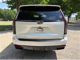 2024 Cadillac Escalade (CC-2078950) for sale in Shelby Township, Michigan