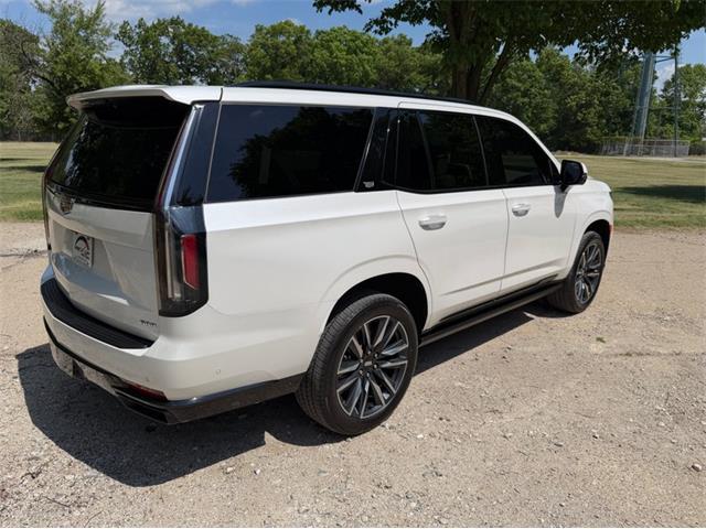 2024 Cadillac Escalade (CC-2078950) for sale in Shelby Township, Michigan