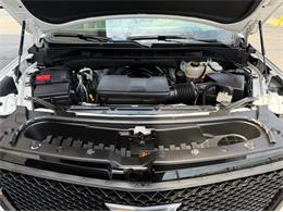 2024 Cadillac Escalade (CC-2078950) for sale in Shelby Township, Michigan