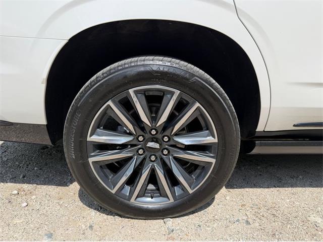 2024 Cadillac Escalade (CC-2078950) for sale in Shelby Township, Michigan