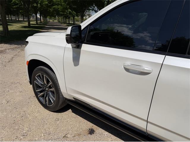 2024 Cadillac Escalade (CC-2078950) for sale in Shelby Township, Michigan