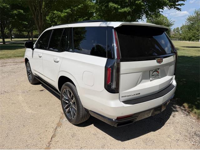 2024 Cadillac Escalade (CC-2078950) for sale in Shelby Township, Michigan