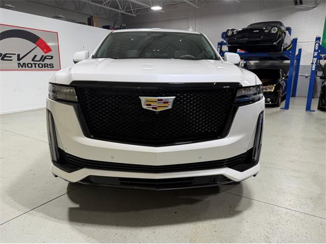 2024 Cadillac Escalade (CC-2078950) for sale in Shelby Township, Michigan