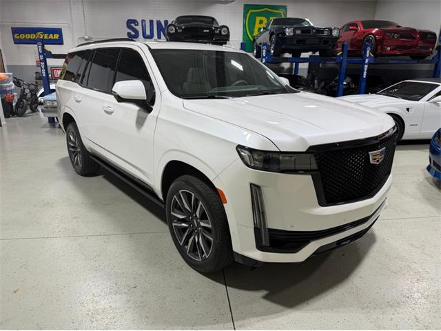 2024 Cadillac Escalade (CC-2078950) for sale in Shelby Township, Michigan