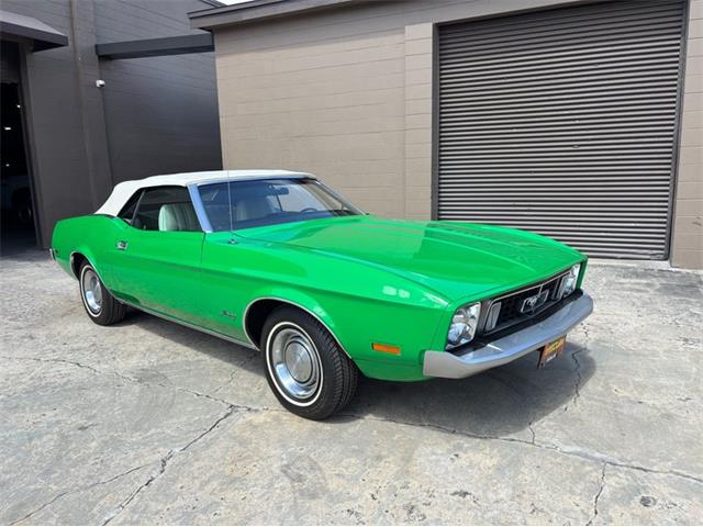 1973 Ford Mustang (CC-2078961) for sale in Orlando, Florida
