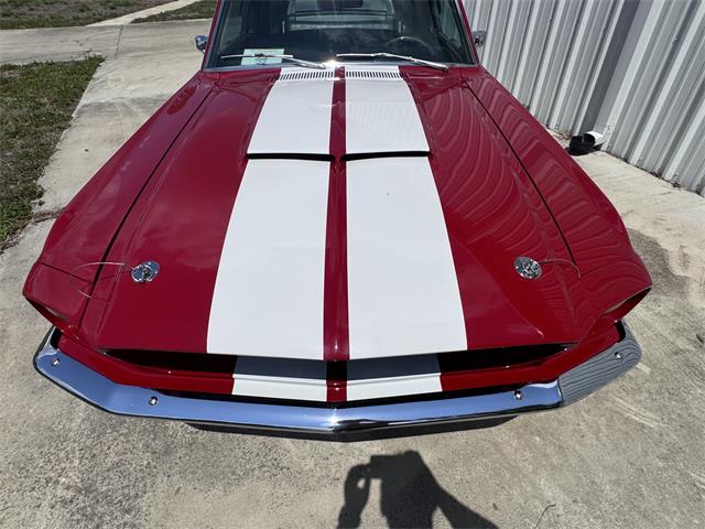 1968 Ford Mustang GT500 (CC-2078987) for sale in Sarasota, Florida