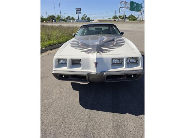 1980 Pontiac Firebird Trans Am Pace Car (CC-2070902) for sale in Lexington, Kentucky