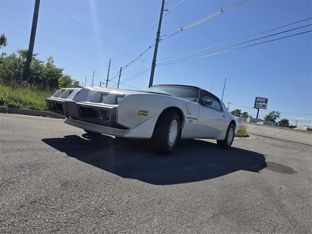 1980 Pontiac Firebird Trans Am Pace Car (CC-2070902) for sale in Lexington, Kentucky