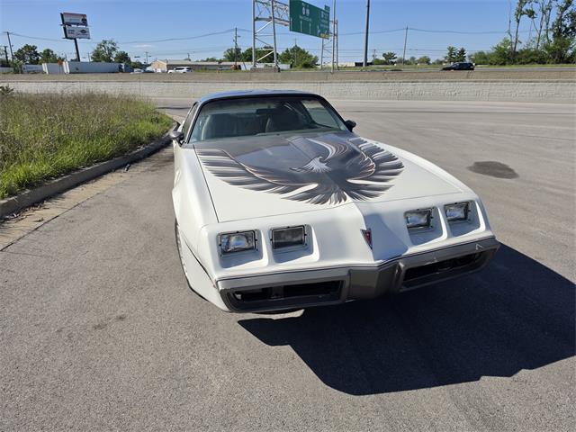 1980 Pontiac Firebird Trans Am Pace Car (CC-2070902) for sale in Lexington, Kentucky
