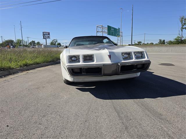 1980 Pontiac Firebird Trans Am Pace Car (CC-2070902) for sale in Lexington, Kentucky