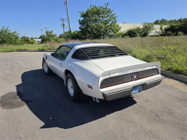 1980 Pontiac Firebird Trans Am Pace Car (CC-2070902) for sale in Lexington, Kentucky