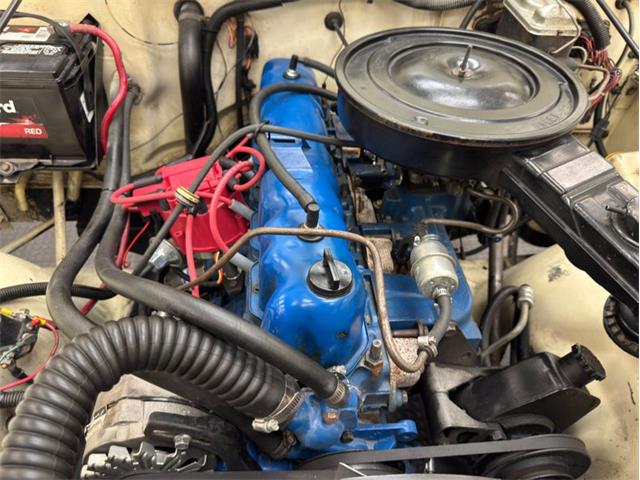 1980 Jeep CJ5 (CC-2079022) for sale in Morgantown, Pennsylvania