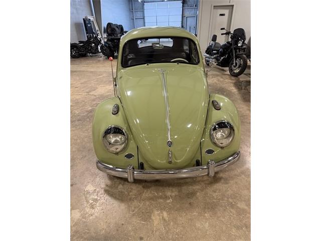 1960 Volkswagen Beetle (CC-2079050) for sale in Greensboro, North Carolina