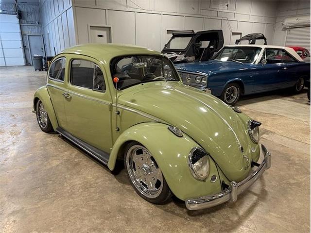 1960 Volkswagen Beetle (CC-2079050) for sale in Greensboro, North Carolina