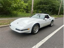 1992 Chevrolet Corvette (CC-2079054) for sale in Greensboro, North Carolina