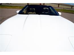 1993 Chevrolet Corvette (CC-2079088) for sale in Ramsey, Minnesota