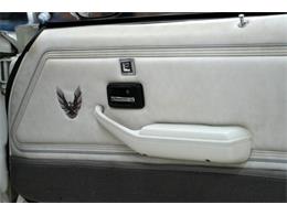 1980 Pontiac Firebird Trans Am Pace Car (CC-2079131) for sale in St. Louis, Missouri