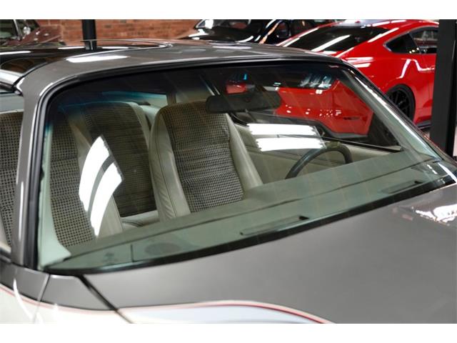 1980 Pontiac Firebird Trans Am Pace Car (CC-2079131) for sale in St. Louis, Missouri