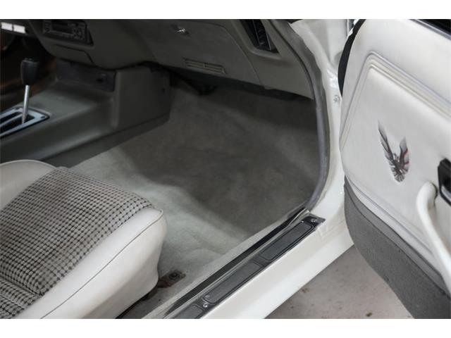 1980 Pontiac Firebird Trans Am Pace Car (CC-2079131) for sale in St. Louis, Missouri
