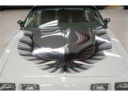 1980 Pontiac Firebird Trans Am Pace Car (CC-2079131) for sale in St. Louis, Missouri