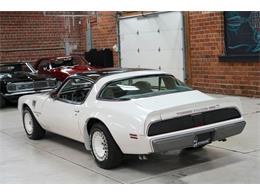 1980 Pontiac Firebird Trans Am Pace Car (CC-2079131) for sale in St. Louis, Missouri