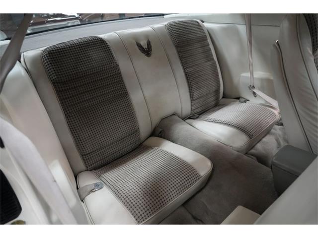 1980 Pontiac Firebird Trans Am Pace Car (CC-2079131) for sale in St. Louis, Missouri