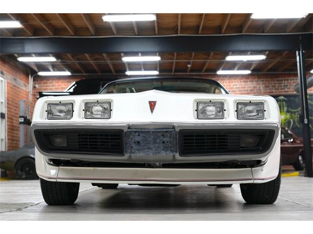 1980 Pontiac Firebird Trans Am Pace Car (CC-2079131) for sale in St. Louis, Missouri