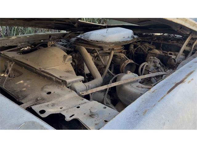 1979 Pontiac Firebird (CC-2079159) for sale in Midlothian, Texas