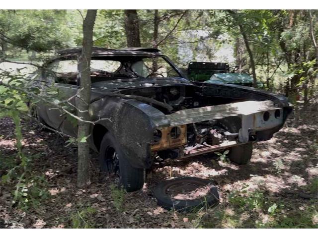 1979 Pontiac Firebird (CC-2079159) for sale in Midlothian, Texas