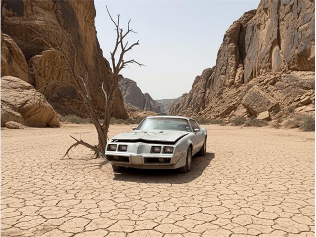 1979 Pontiac Firebird (CC-2079159) for sale in Midlothian, Texas