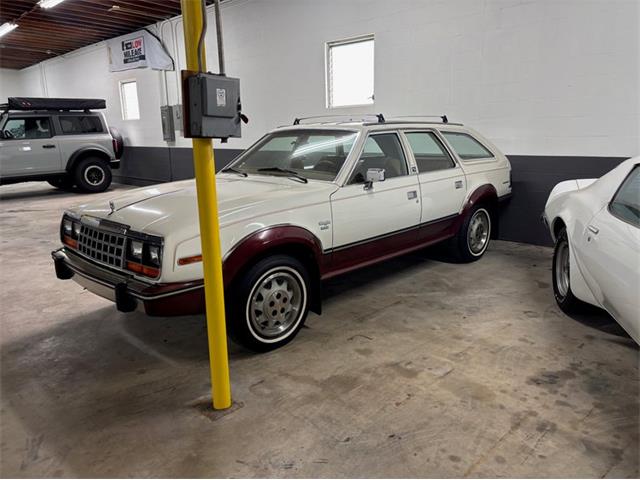 1984 AMC Eagle (CC-2079228) for sale in Orlando, Florida