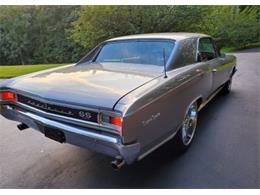 1966 Chevrolet Chevelle Malibu SS (CC-2079258) for sale in New Palestine, Indiana