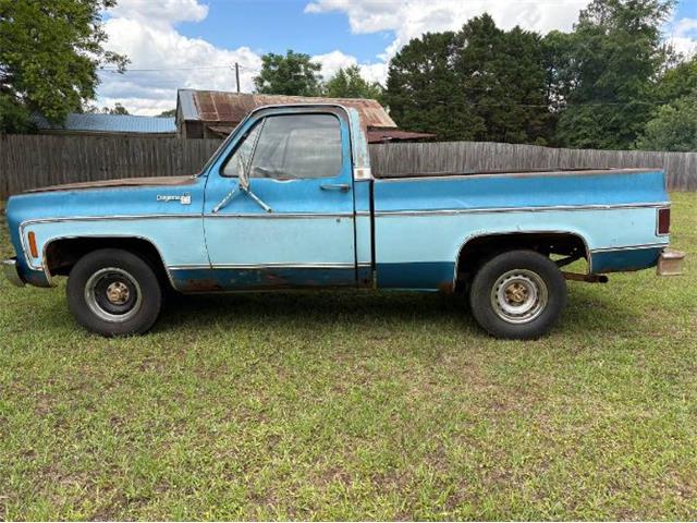 1978 Chevrolet C10 (CC-2070927) for sale in Cadillac, Michigan