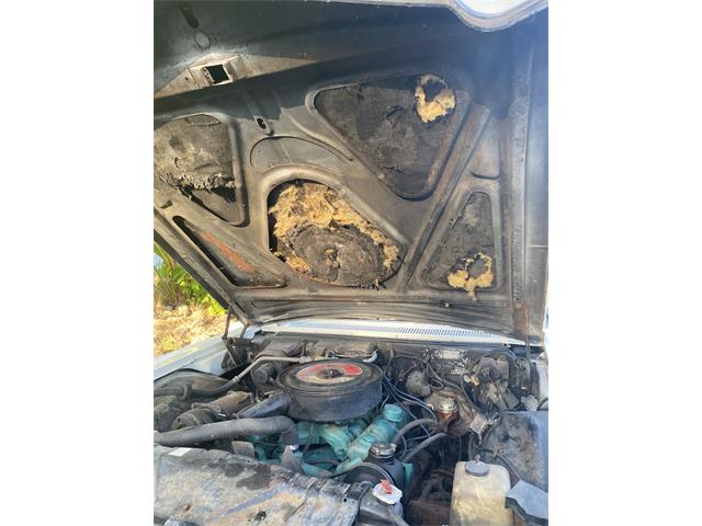 1966 Buick Wildcat (CC-2079272) for sale in Novato, California
