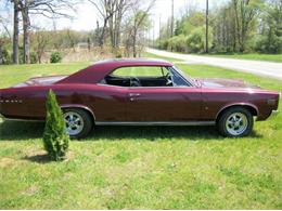 1966 Pontiac LeMans (CC-2070931) for sale in Cadillac, Michigan