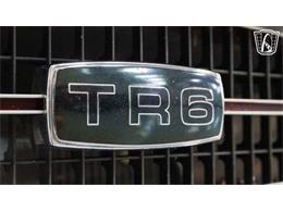 1973 Triumph TR6 (CC-2079356) for sale in New Braundfels, Texas