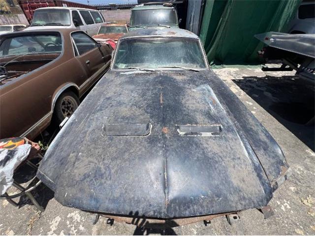 1967 Ford Mustang (CC-2079369) for sale in Cadillac, Michigan