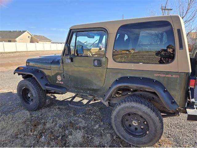 1995 Jeep Wrangler (CC-2079379) for sale in Cadillac, Michigan