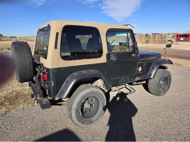 1995 Jeep Wrangler (CC-2079379) for sale in Cadillac, Michigan