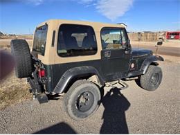 1995 Jeep Wrangler (CC-2079379) for sale in Cadillac, Michigan