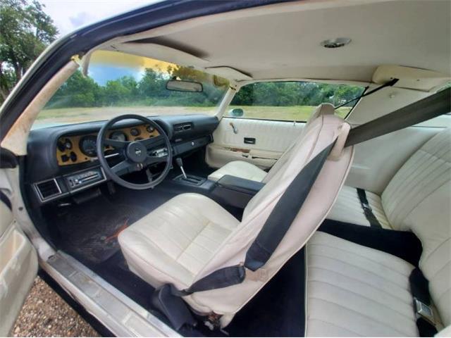 1977 Chevrolet Camaro (CC-2079381) for sale in Cadillac, Michigan