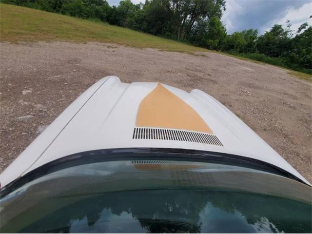 1977 Chevrolet Camaro (CC-2079381) for sale in Cadillac, Michigan