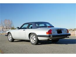 1988 Jaguar XJSC (CC-2079387) for sale in Cadillac, Michigan
