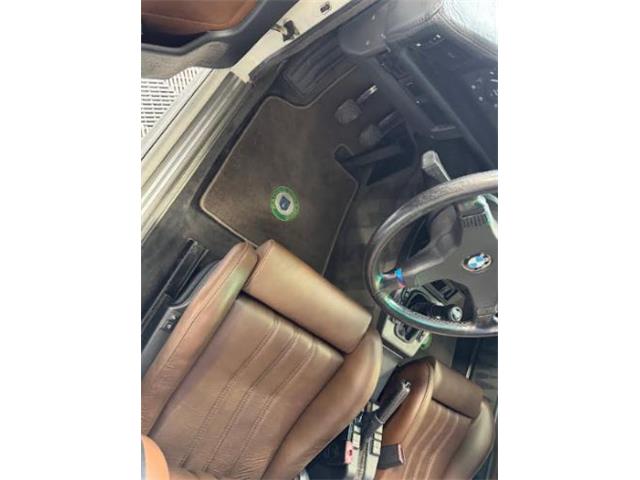 1988 BMW 5 Series (CC-2079388) for sale in Cadillac, Michigan