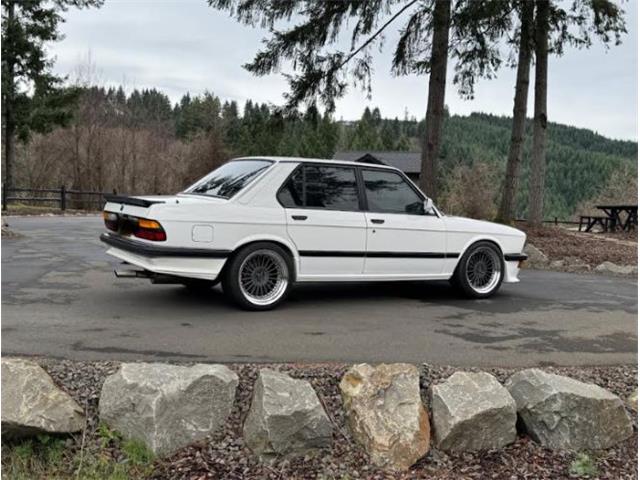 1988 BMW 5 Series (CC-2079388) for sale in Cadillac, Michigan