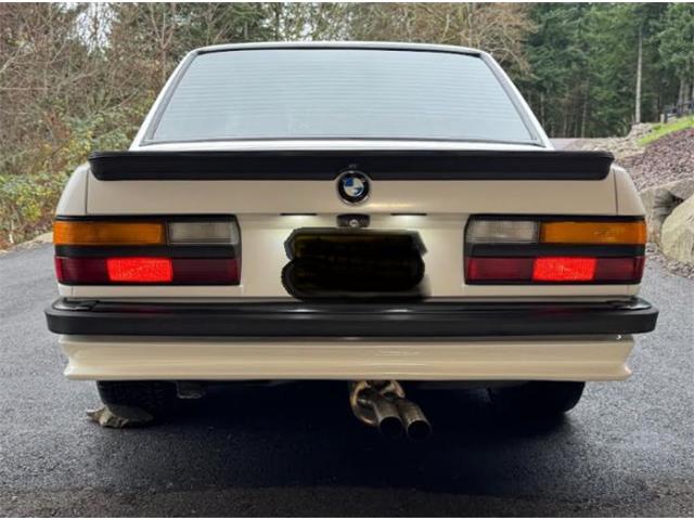1988 BMW 5 Series (CC-2079388) for sale in Cadillac, Michigan