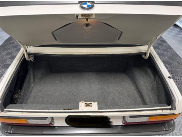 1988 BMW 5 Series (CC-2079388) for sale in Cadillac, Michigan