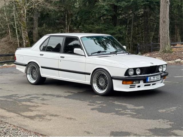 1988 BMW 5 Series (CC-2079388) for sale in Cadillac, Michigan